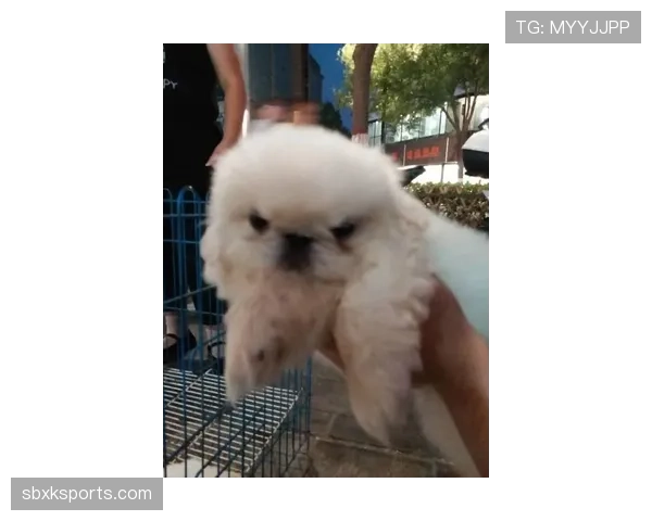 史梦瑶每天喝的水都是定制的,我连她家狗喝的都买不起 史梦瑶每天喝的水都是定制的,我连她家狗喝的都买不起